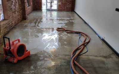 How to choose the right water damage cleanup company for your needs