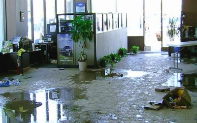 What Is the Smell After Flooding?